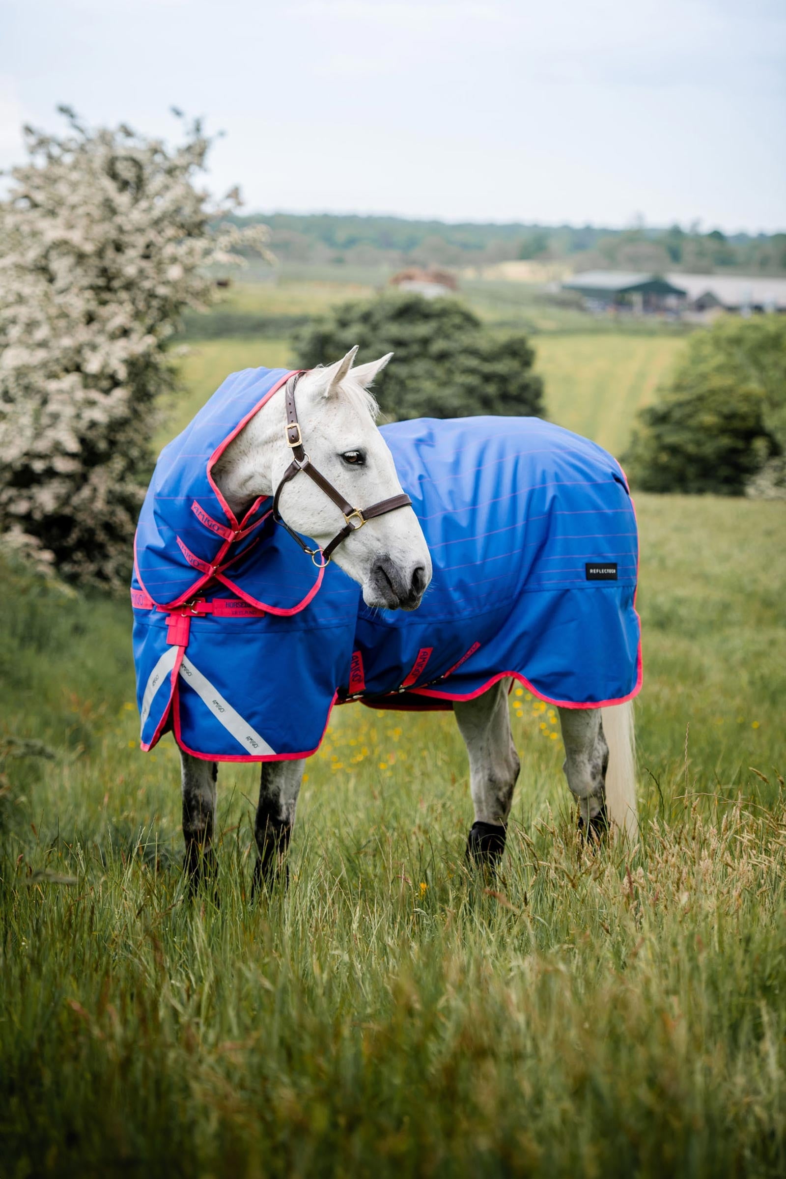Horseware Amigo Bravo 12 Reflectech Plus Turnout Rug With Detachable Neck, 250g Horse Rugs