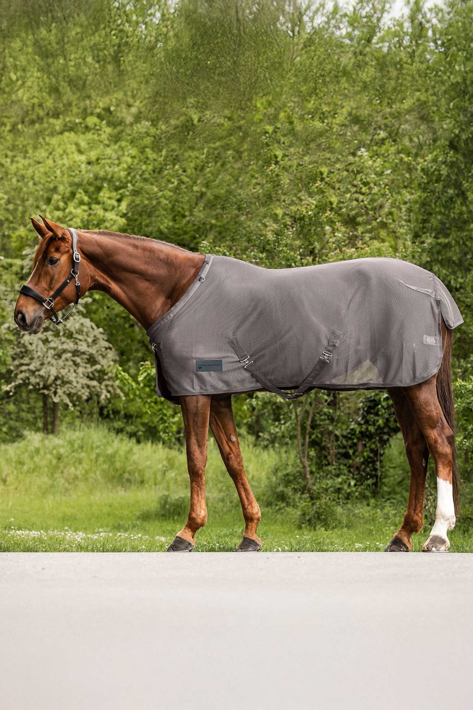 Waldhausen Comfort Fly Rug Horse Rugs
