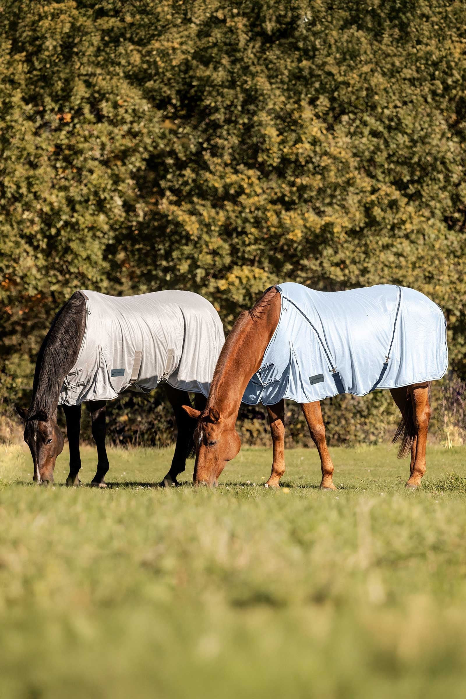 Waldhausen Protect Fly Rug Horse Rugs