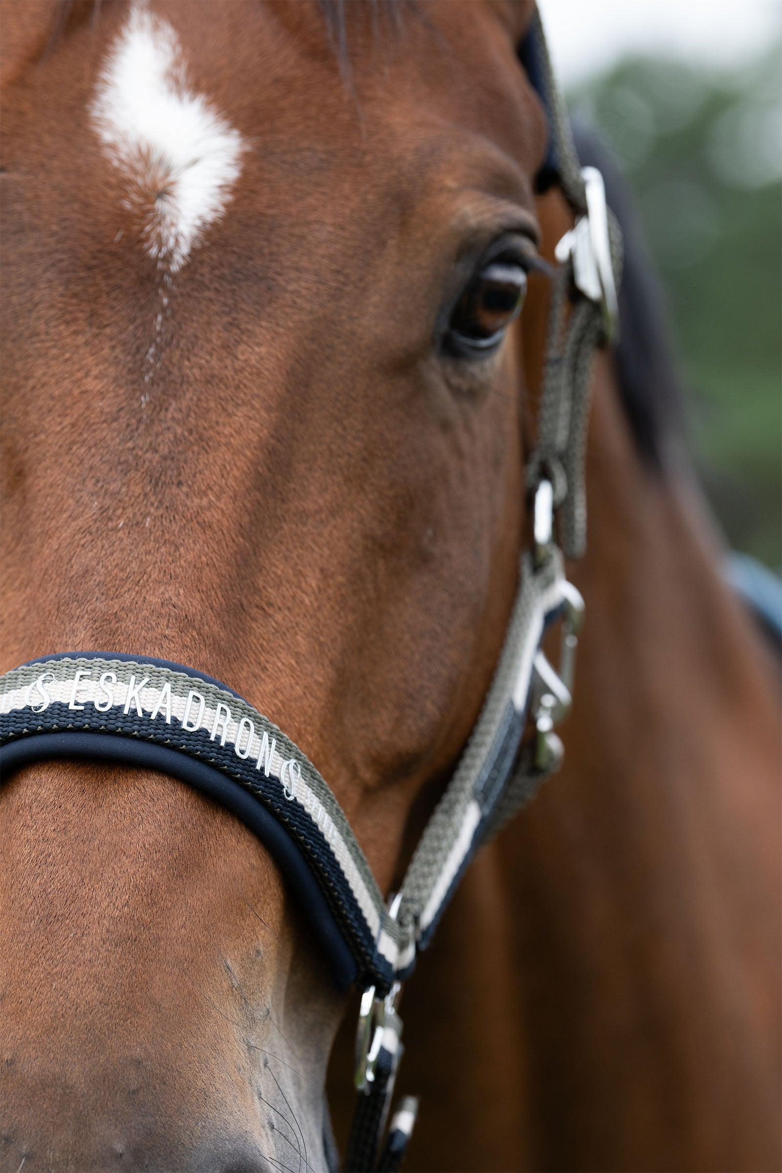 Eskadron Classic Sports SS25 Double Pin Headcollar Halters & Leads