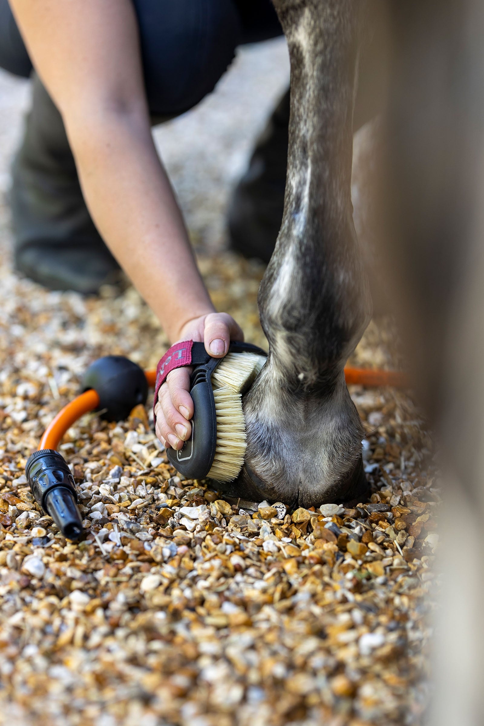 LeMieux Flexi Scrubbing Brush Horse Grooming Tools