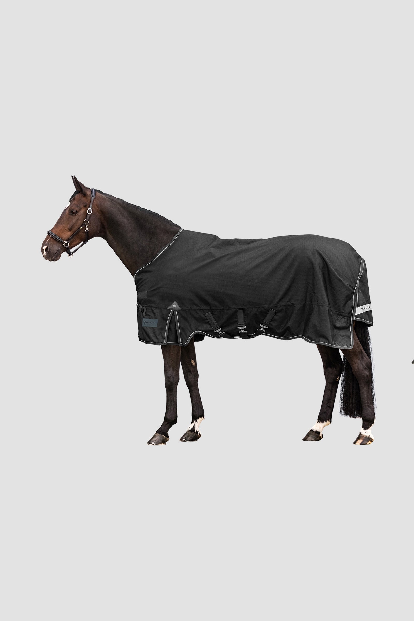 Waldhausen Outdoor Rug Scandic Multi-Layer 250 g/100 g Pferdedecken