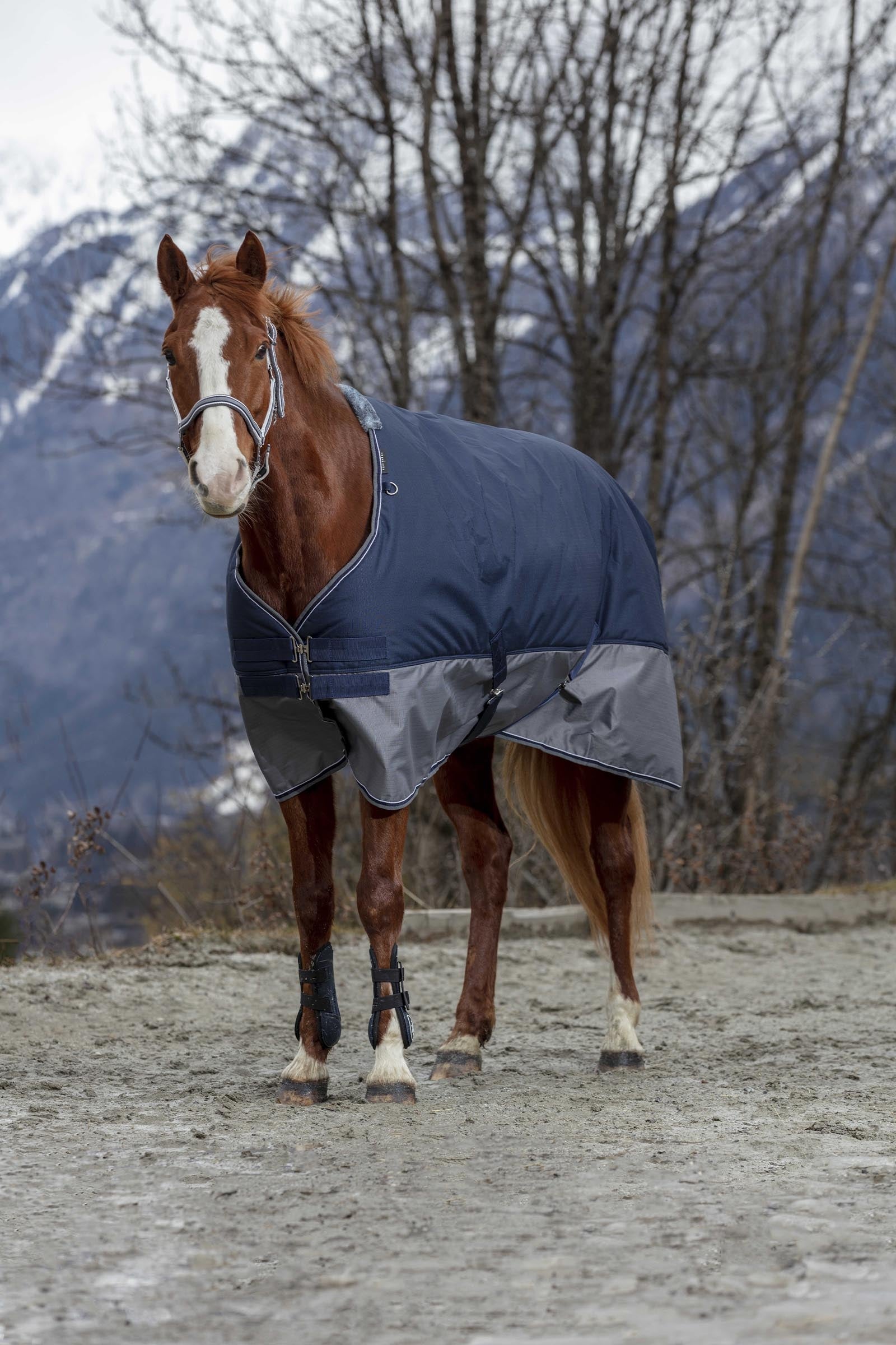 Equi Theme EQUITHÈME TYREX 600D Turnout Rug, 0 g Horse Rugs