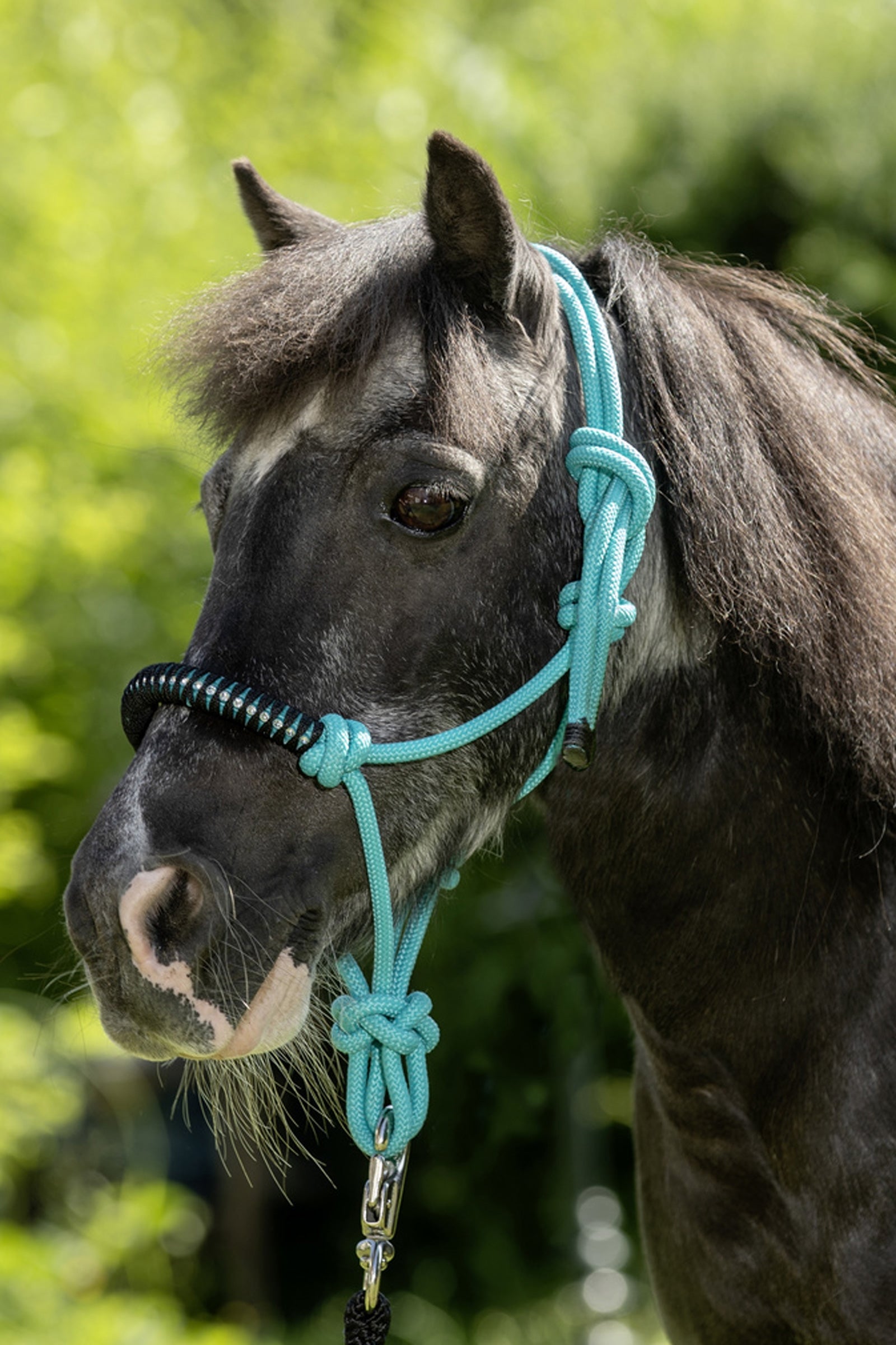 USG Knotted Rope Halter Halters & Leads