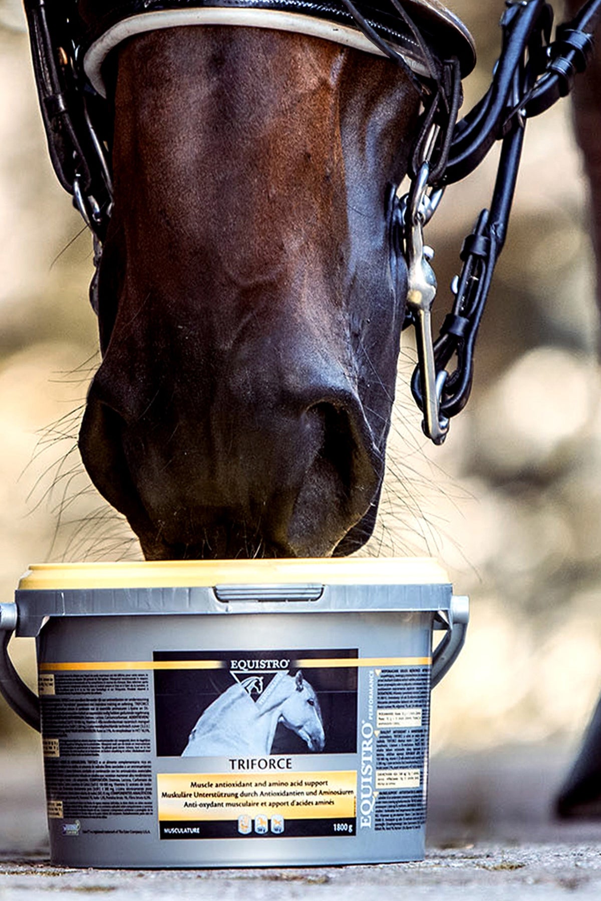 Equistro EQUISTRO Triforce 1,8 kg Horse Feed & Nutrition