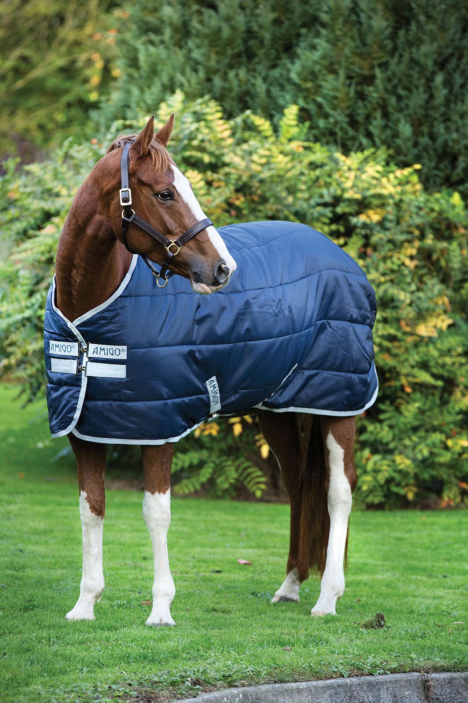 Horseware Amigo Insulator Stable Rug, 200g Horse Rugs