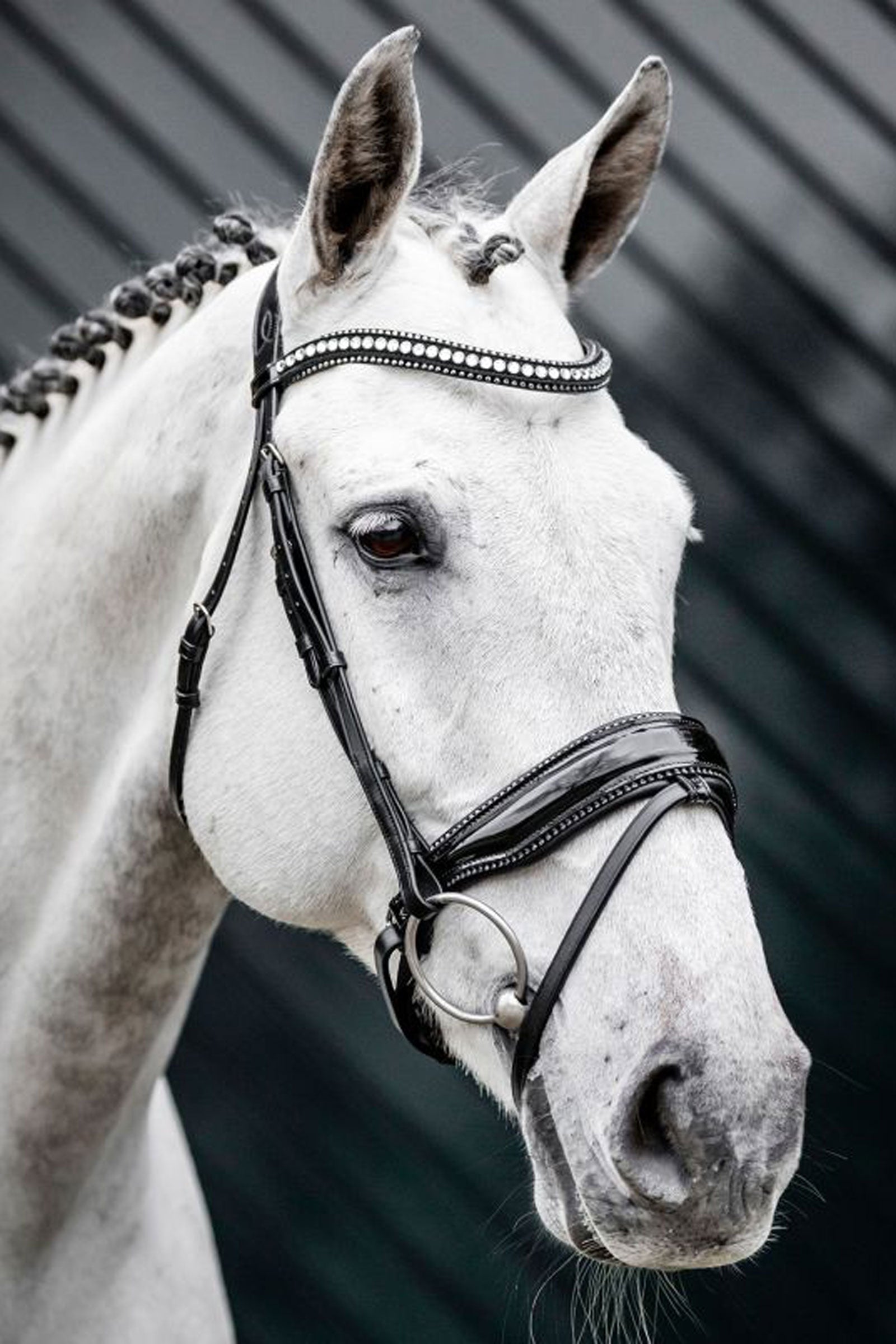 Horseware Diamante Trense mit kombiniertem Reithalfter Trensenzäume & Zügel