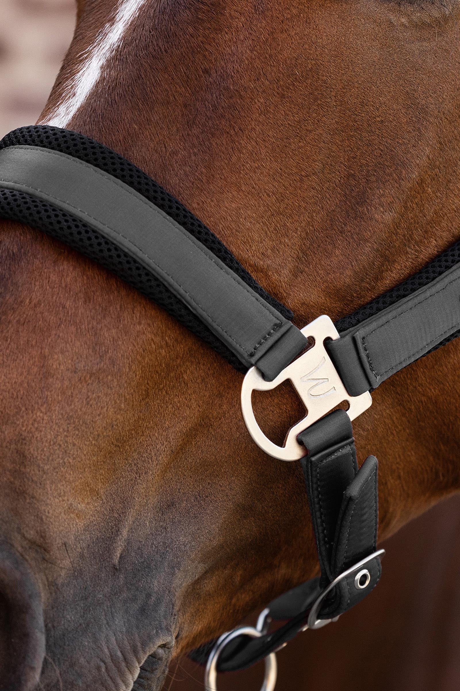 Waldhausen Breath Mesh Halter Halters & Leads
