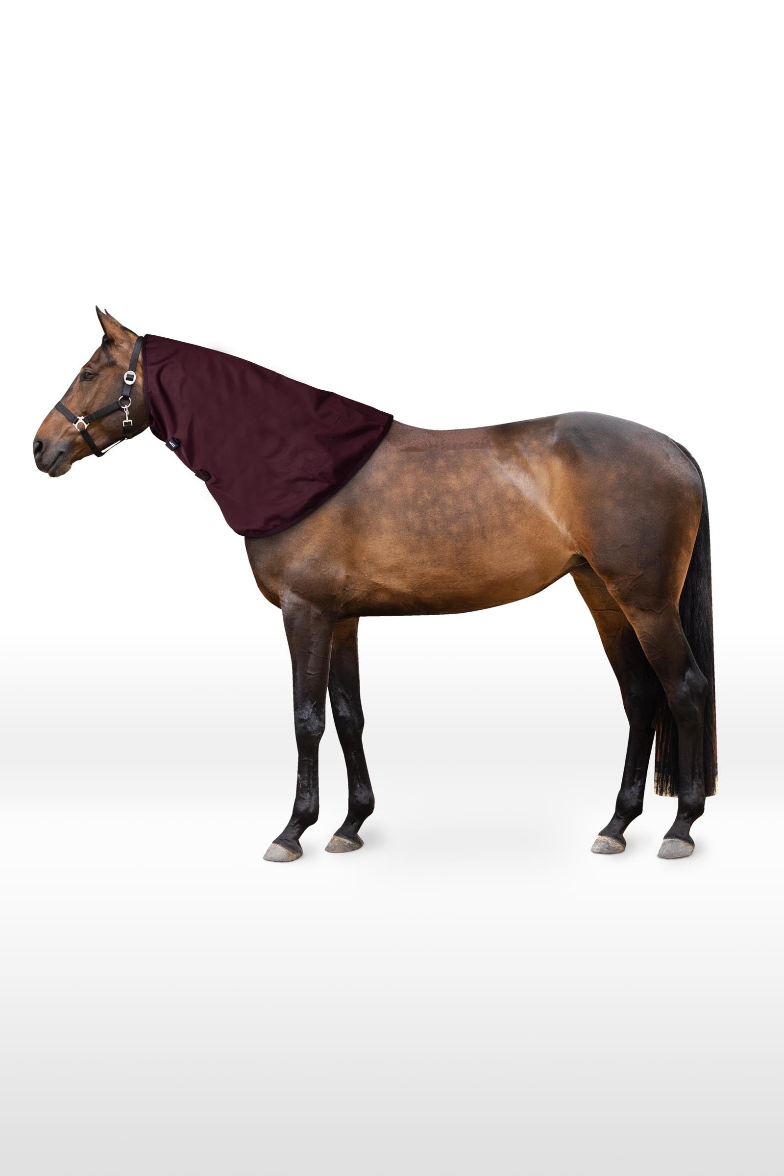 Horze Newbridge Neck Piece, 100 g Horse Rugs