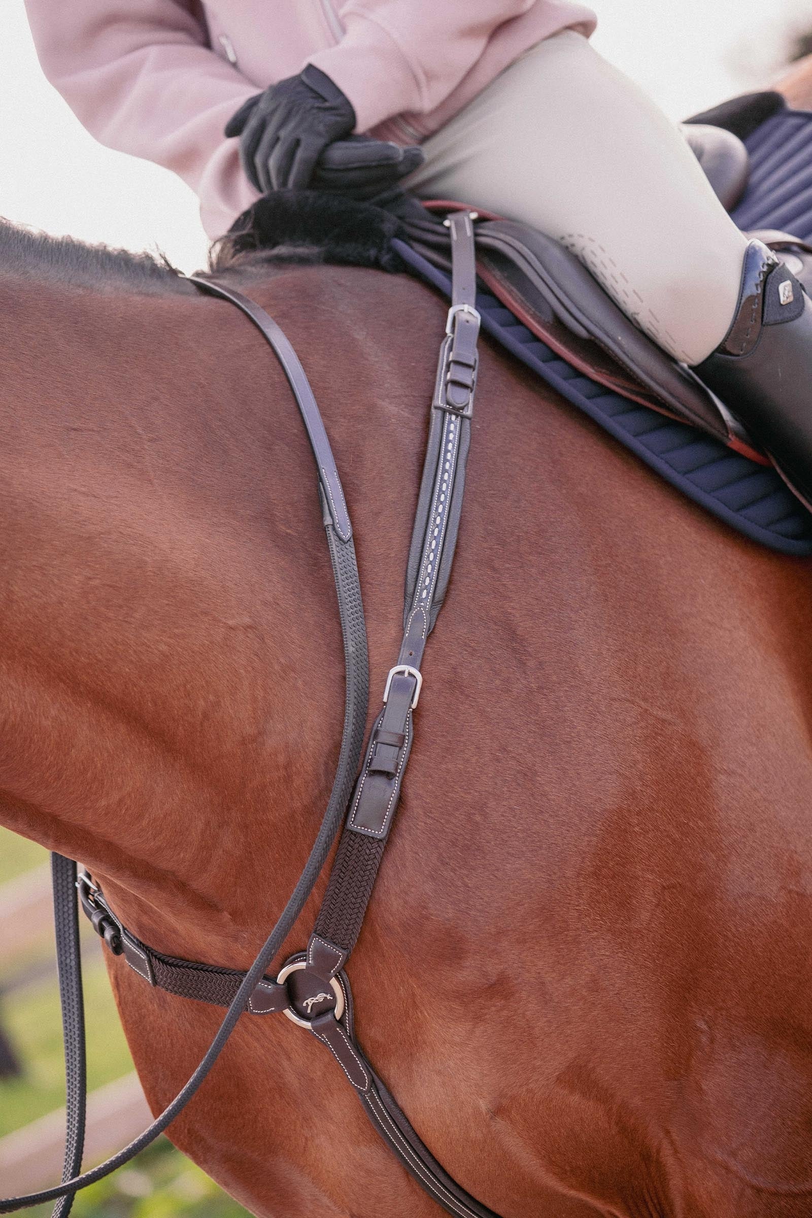 PENELOPE Martin Collar Bridles & Reins