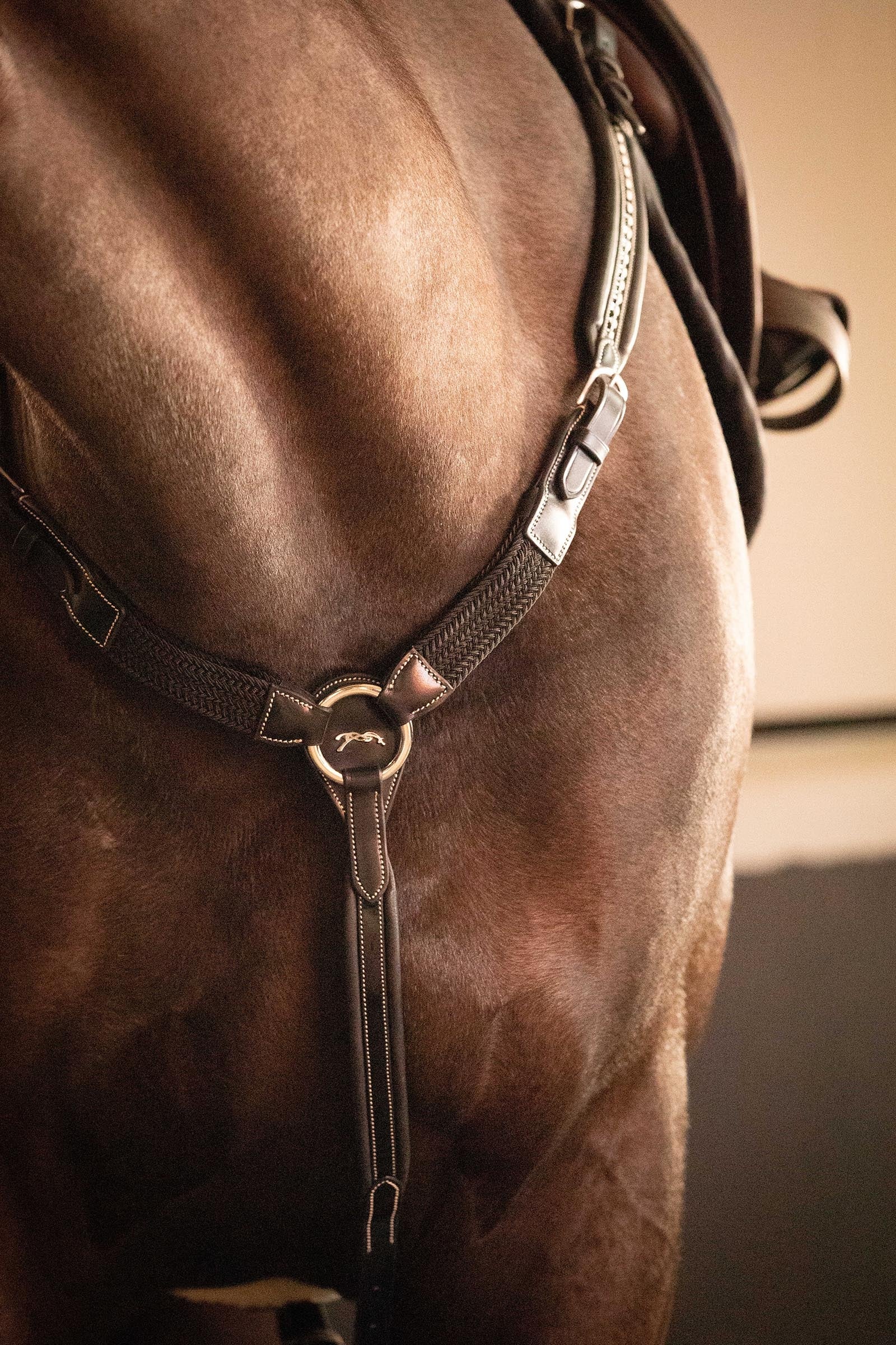 PENELOPE Martin Collar Bridles & Reins