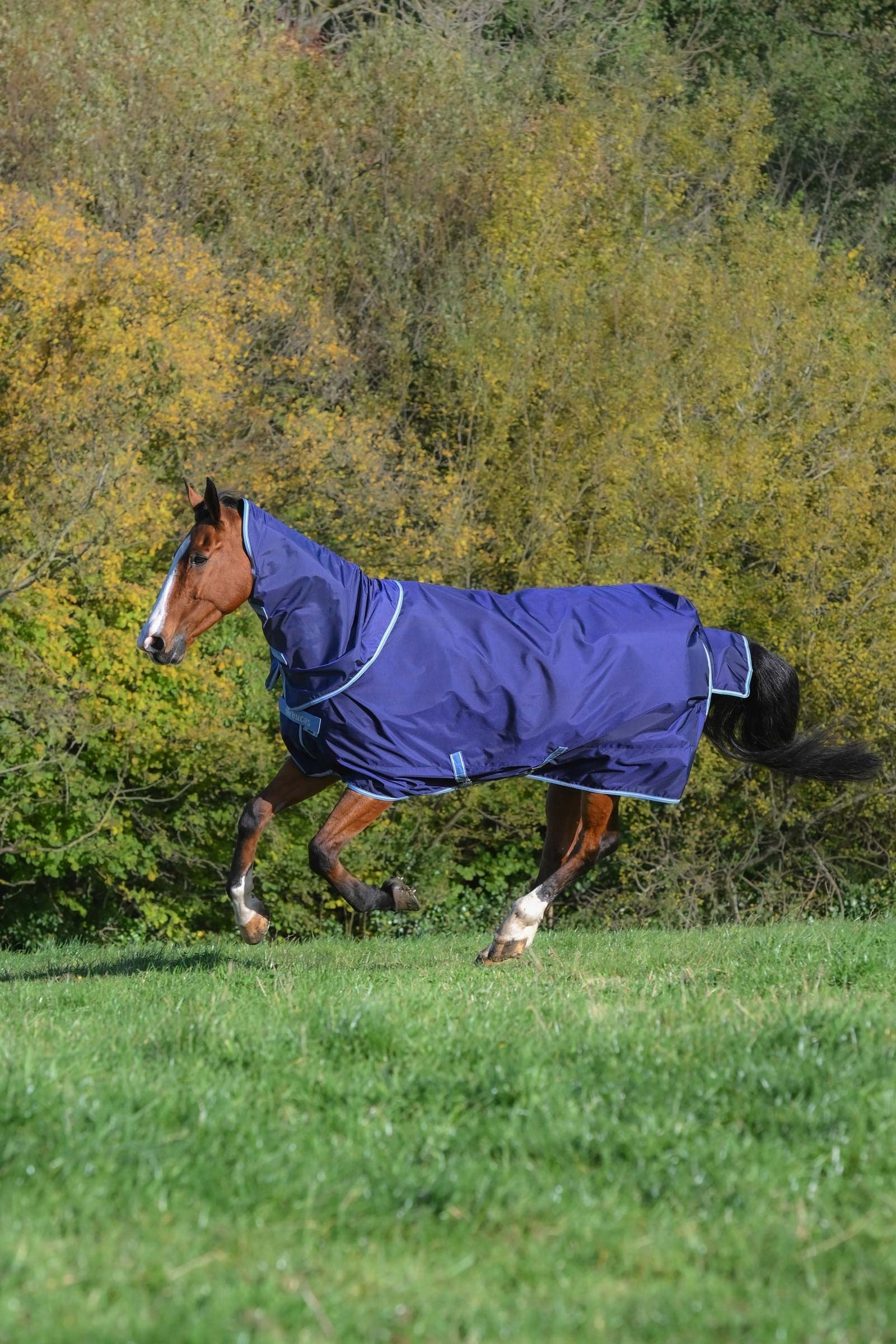 Bucas Atlantic Exclusive Decke & Halsteil Set, 0 g Pferdedecken