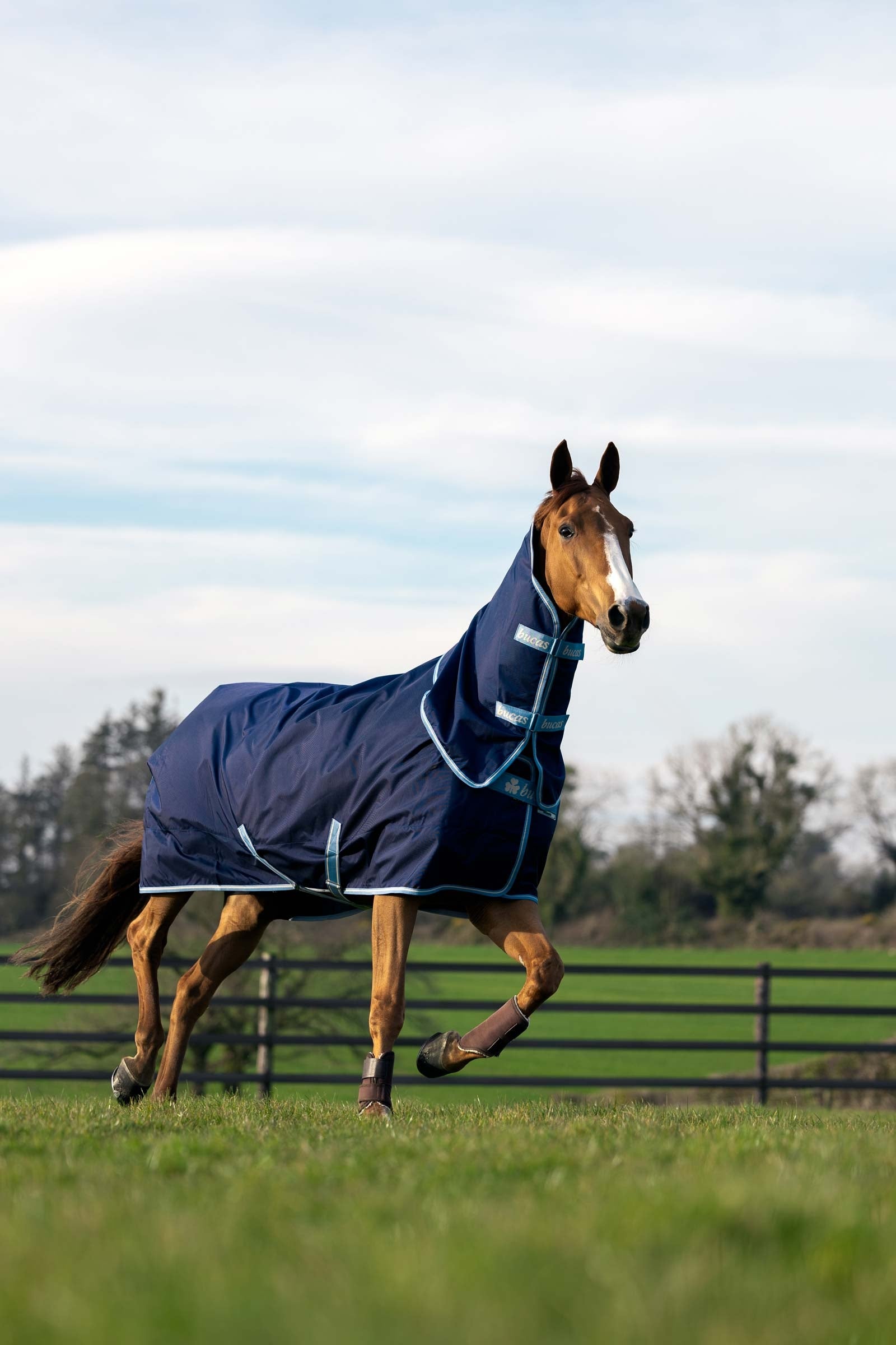 Bucas Atlantic Exclusive Rug & Neck Set, 0 g Horse Rugs