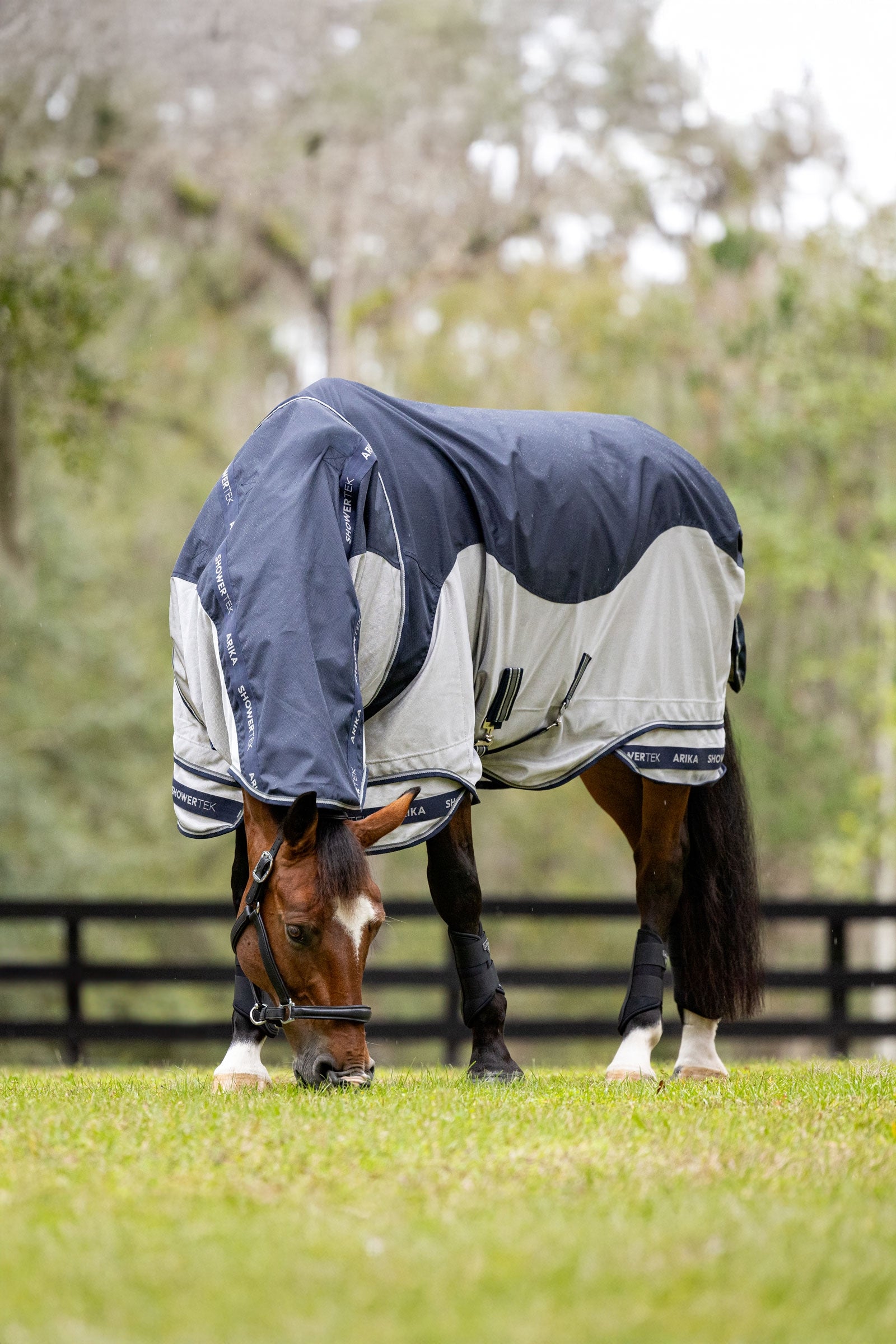 LeMieux Arika Shower-Tek Fly Rug With Detachable Neck Horse Rugs