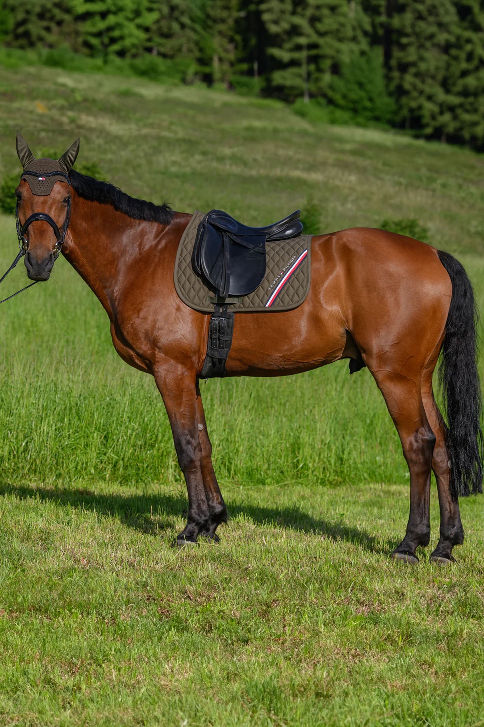 Tommy Hilfiger Equestrian Stanford Dressage Saddlepad Saddle Pads