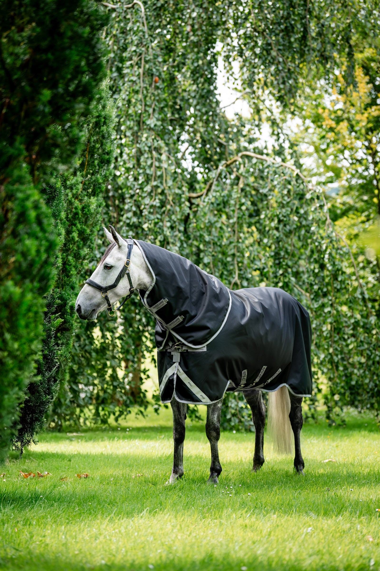 Horseware Amigo 1200D Plus Outdoordecke, 250 g Pferdedecken
