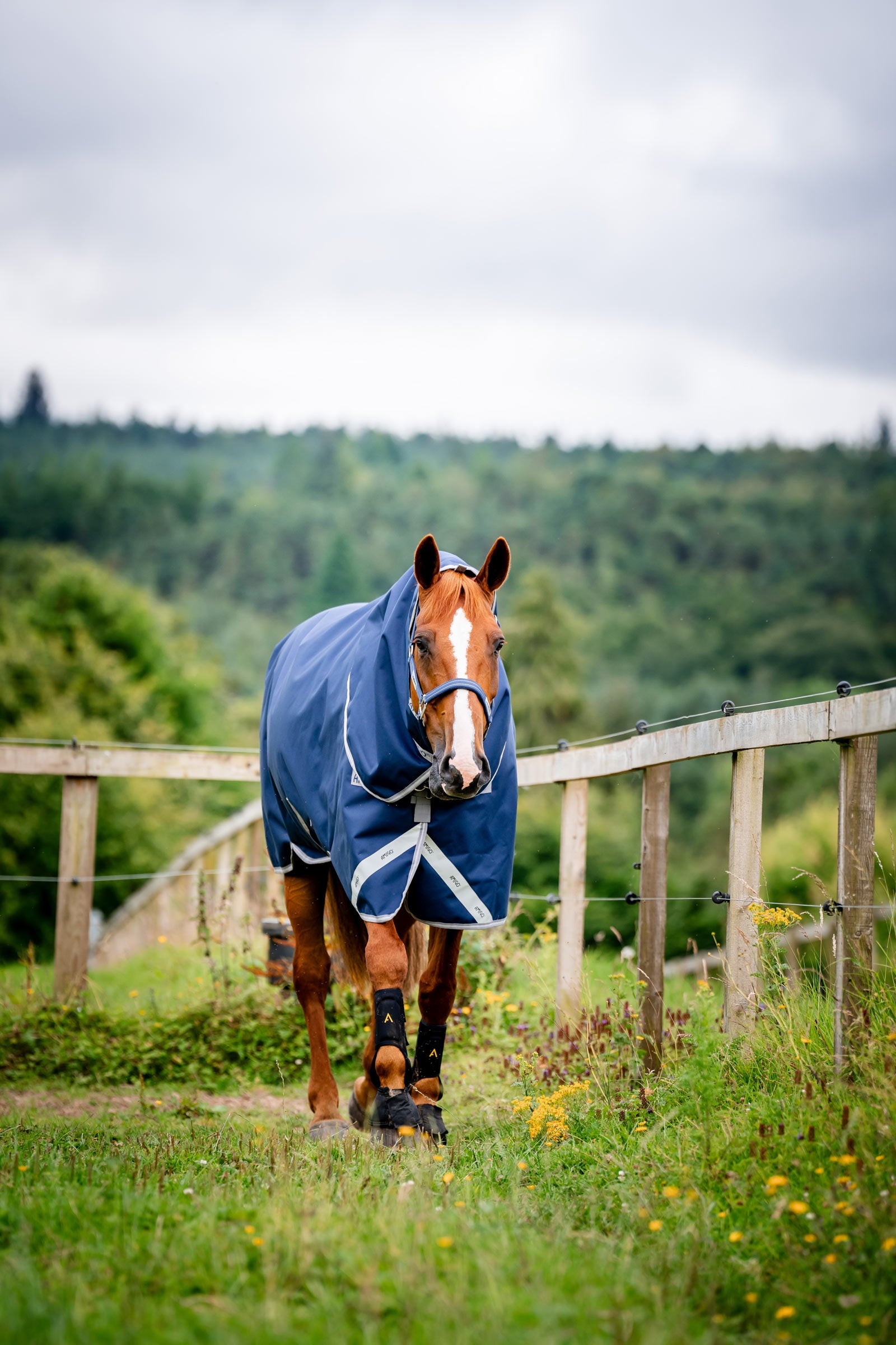 Horseware Amigo 1200D Plus Turnout Rug, 250 g Horse Rugs