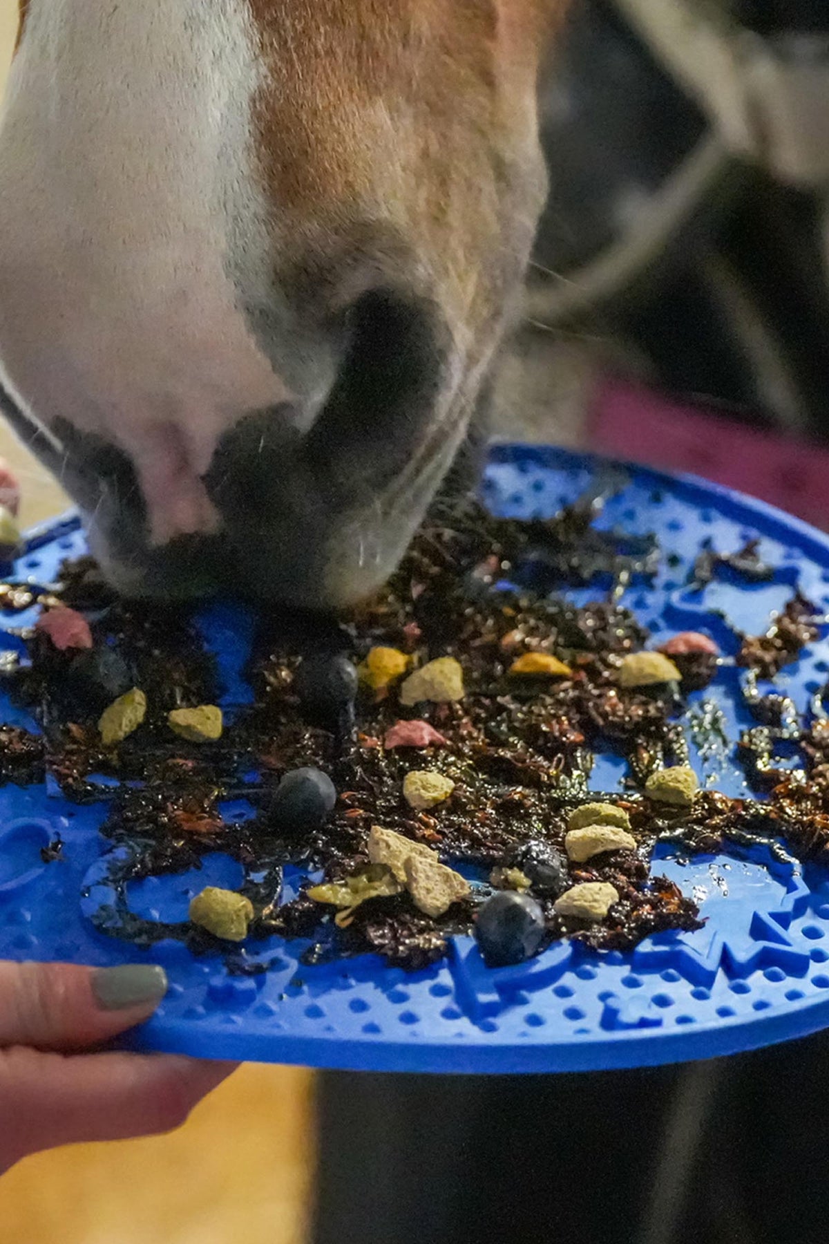 Likit Graze Maze Lick Mat Horse Feed & Nutrition