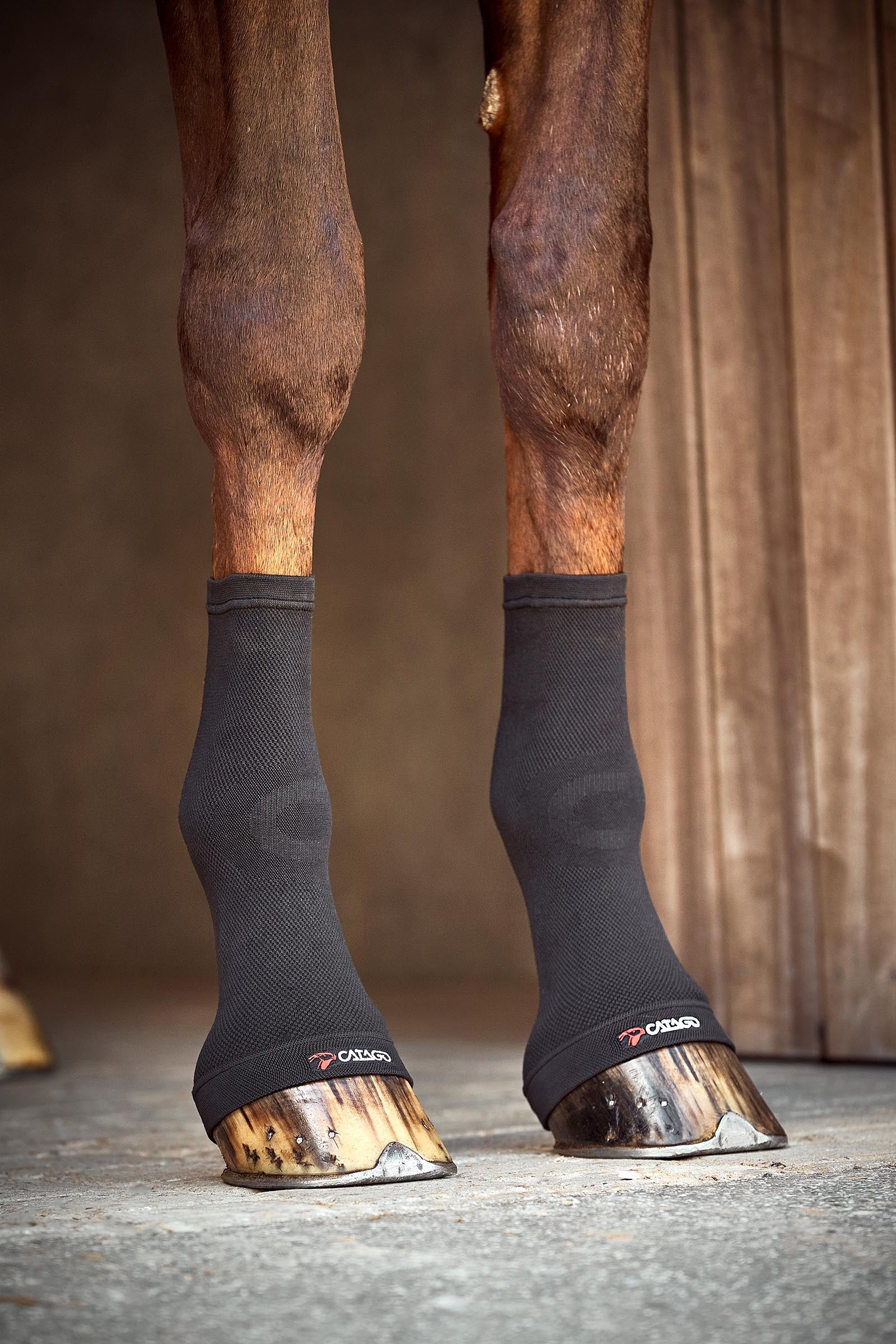 Catago FIR-Tech Kompressions Fesselgelenk Socken Leg Protection & Hoof Protection for Horses