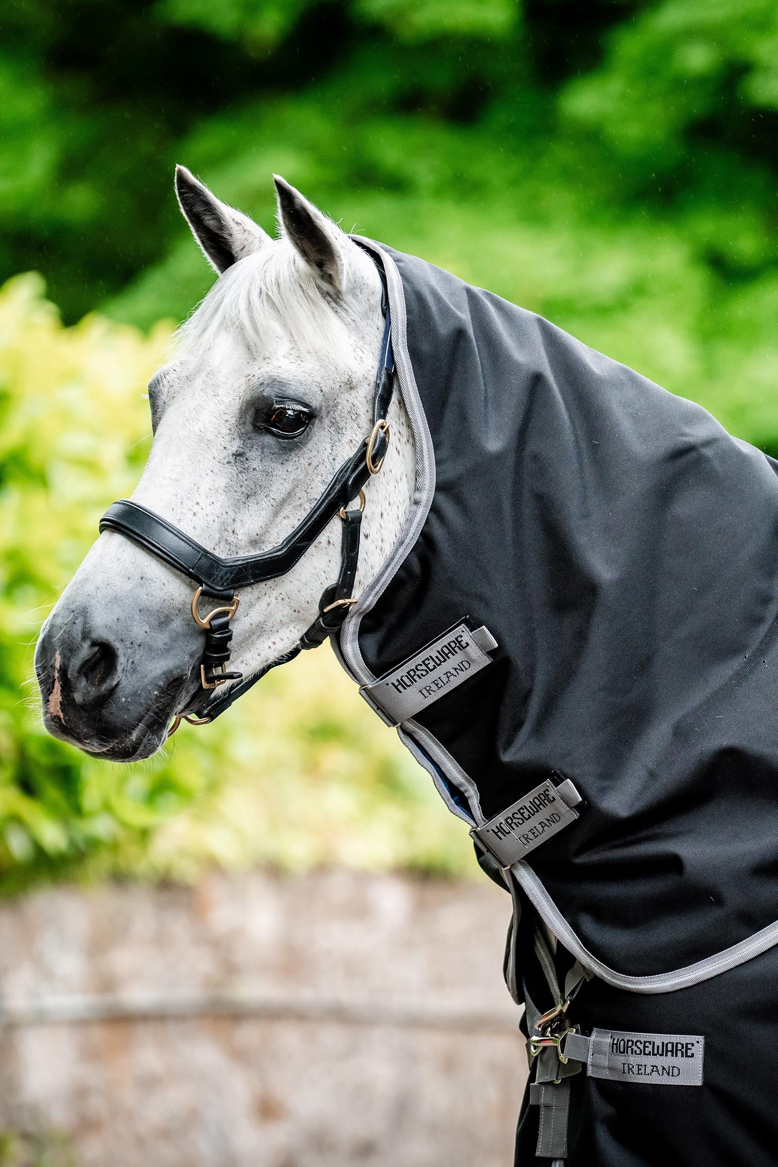 Horseware Amigo Bravo 12 Plus Bundle Turnout Rug 50g, With 2 Liners Horse Rugs