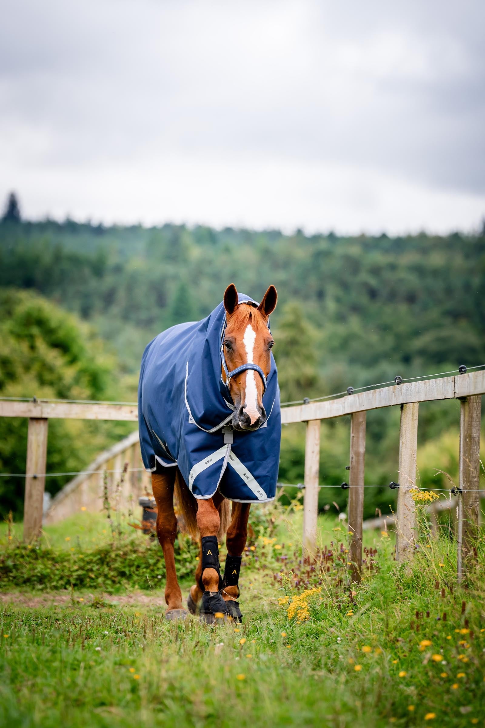 Horseware Amigo Bravo 12 Plus Bundle Turnout Rug 50g, With 2 Liners Horse Rugs