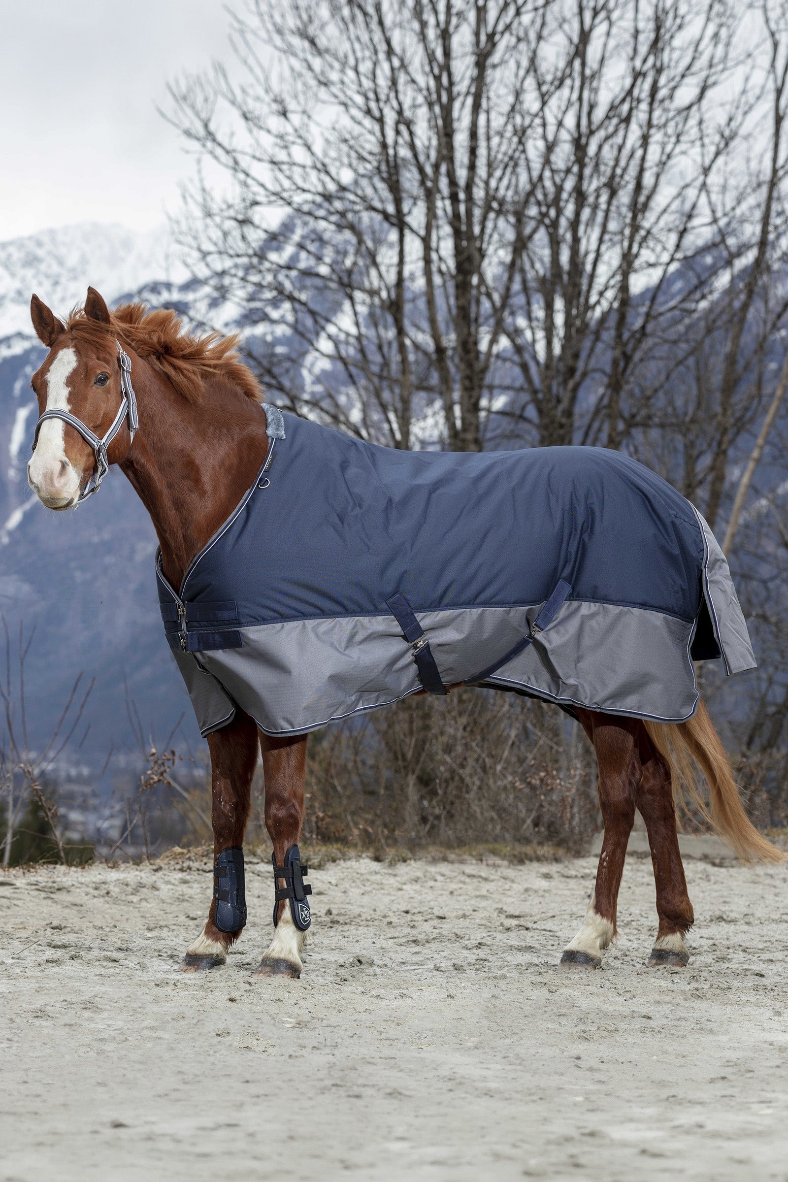 Equi Theme EQUITHÈME TYREX 600D Turnout Rug, 50 g Horse Rugs