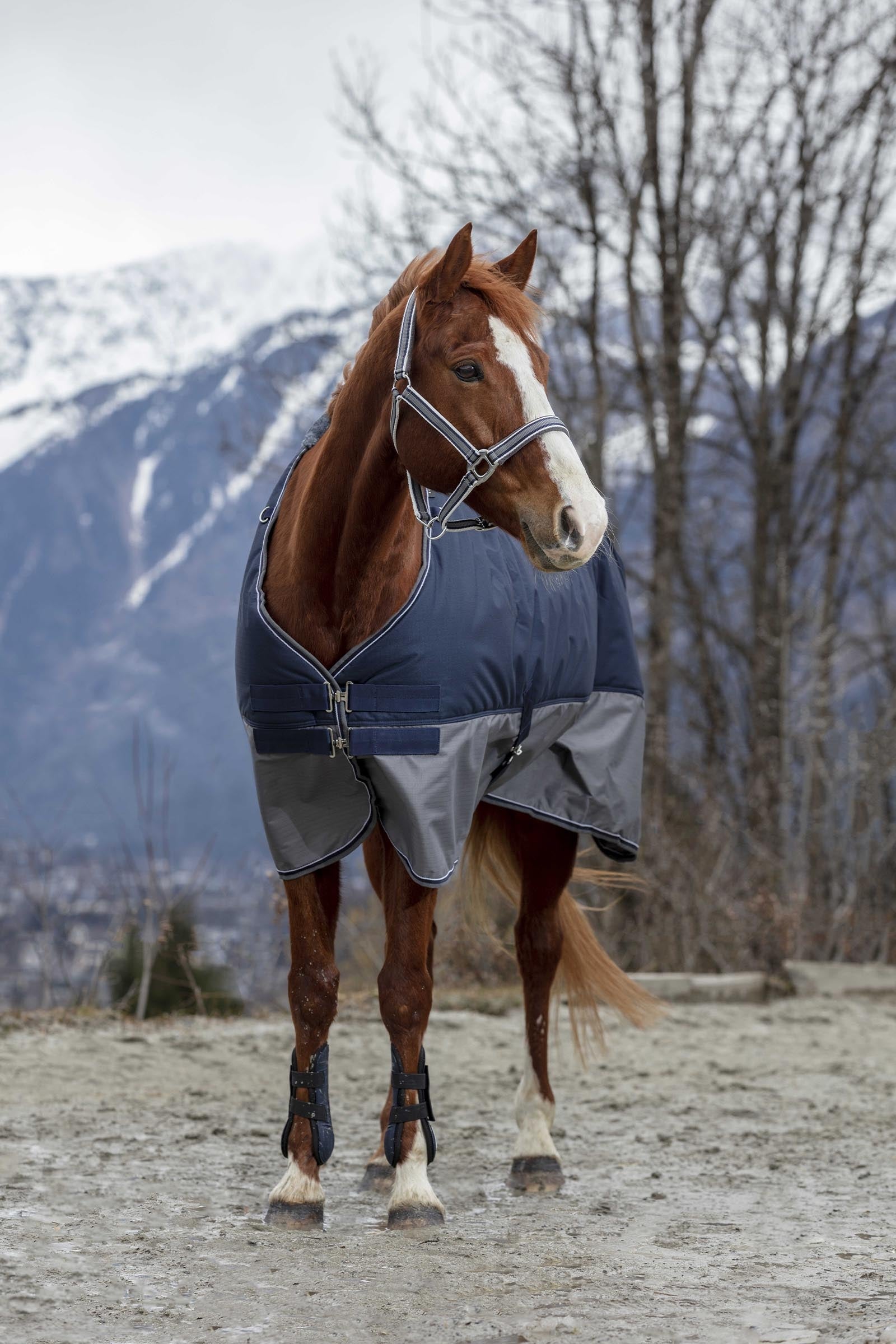 Lifestyle shot 6