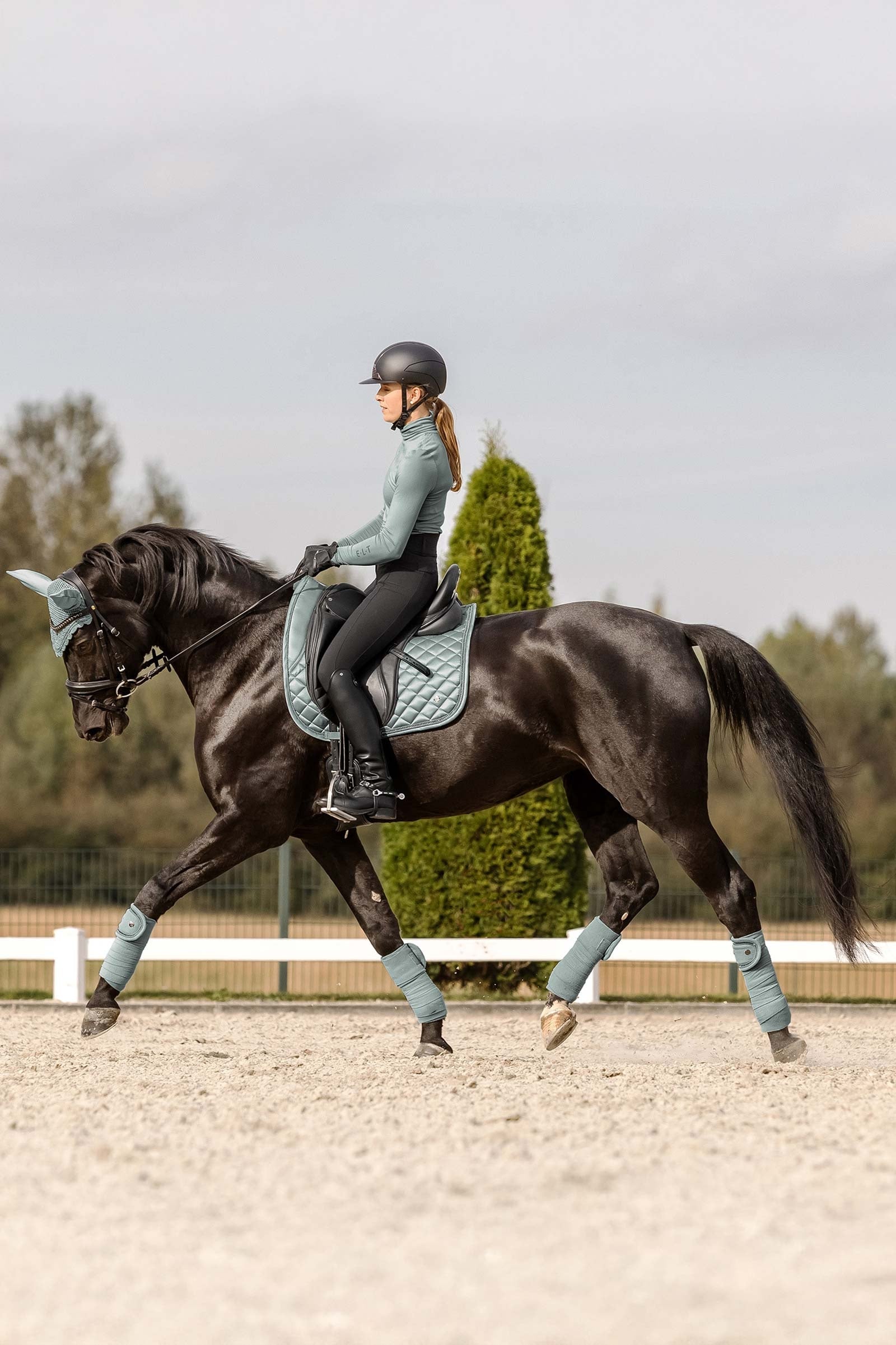 Waldhausen Nepal Dresssage Saddle Pad Saddle Pads