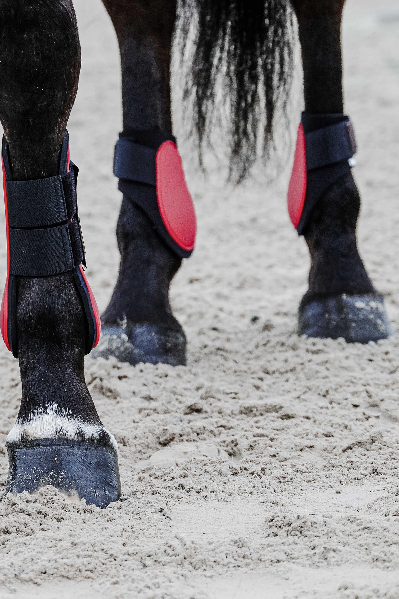 EQUITHÈME Tara Fetlock Boots Leg & Hoof Protection