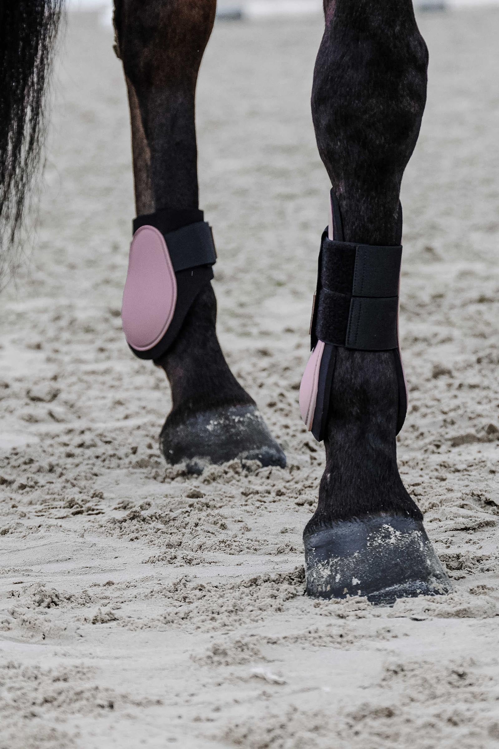 Equi Theme EQUITHÈME Tara Fetlock Boots Leg & Hoof Protection