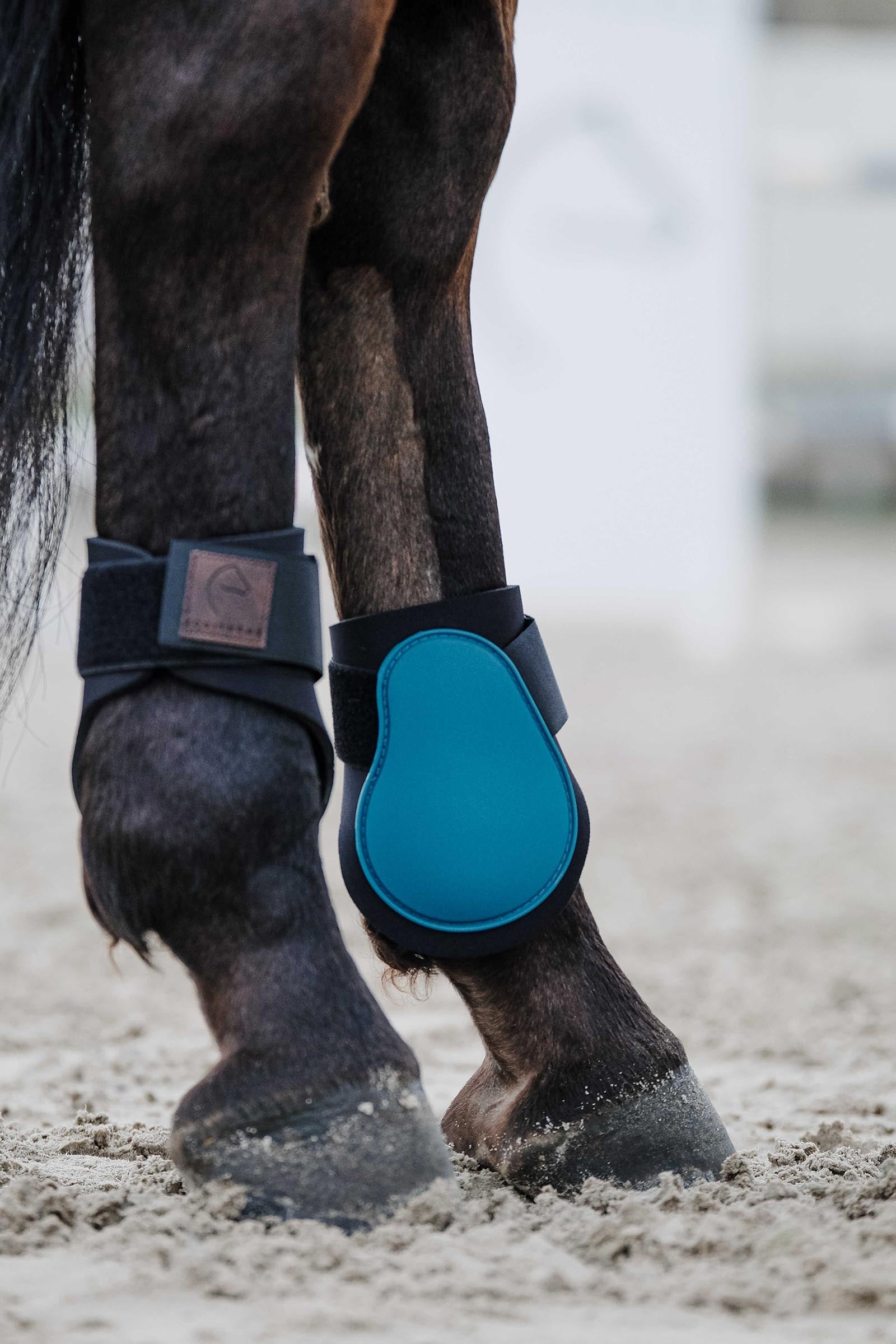 EQUITHÈME Tara Fetlock Boots Leg & Hoof Protection