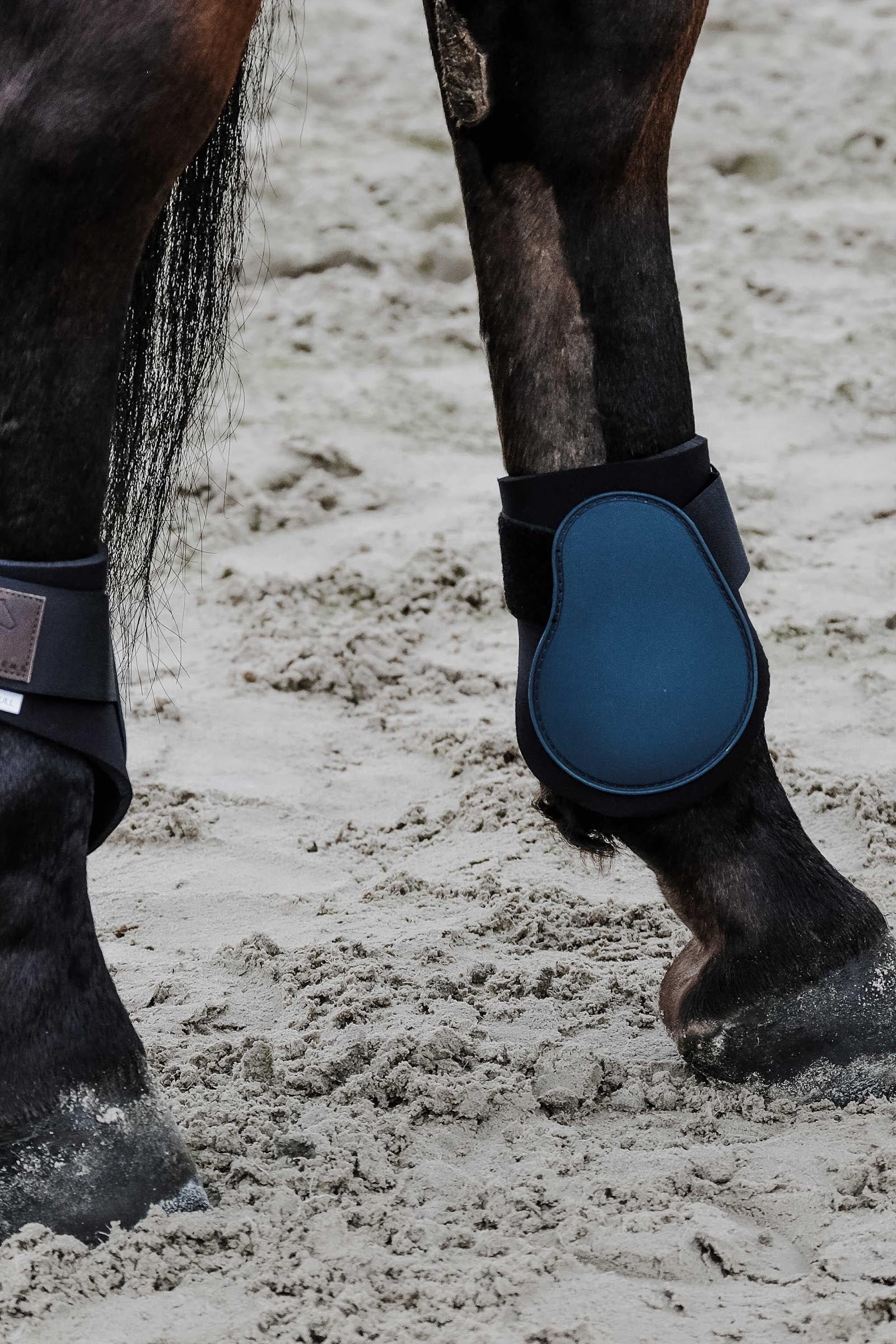 Equi Theme EQUITHÈME Tara Fetlock Boots Leg & Hoof Protection