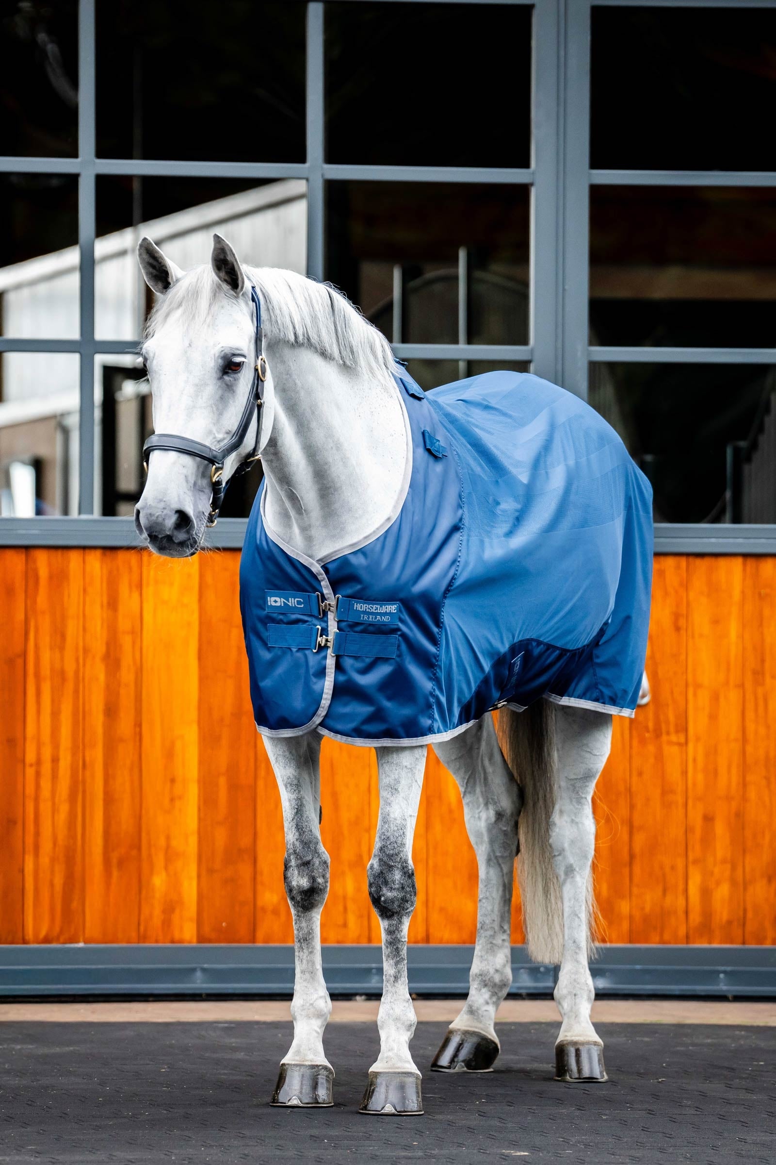 Horseware Ionic Therapy Mesh Abschwitzdecke Pferdedecken