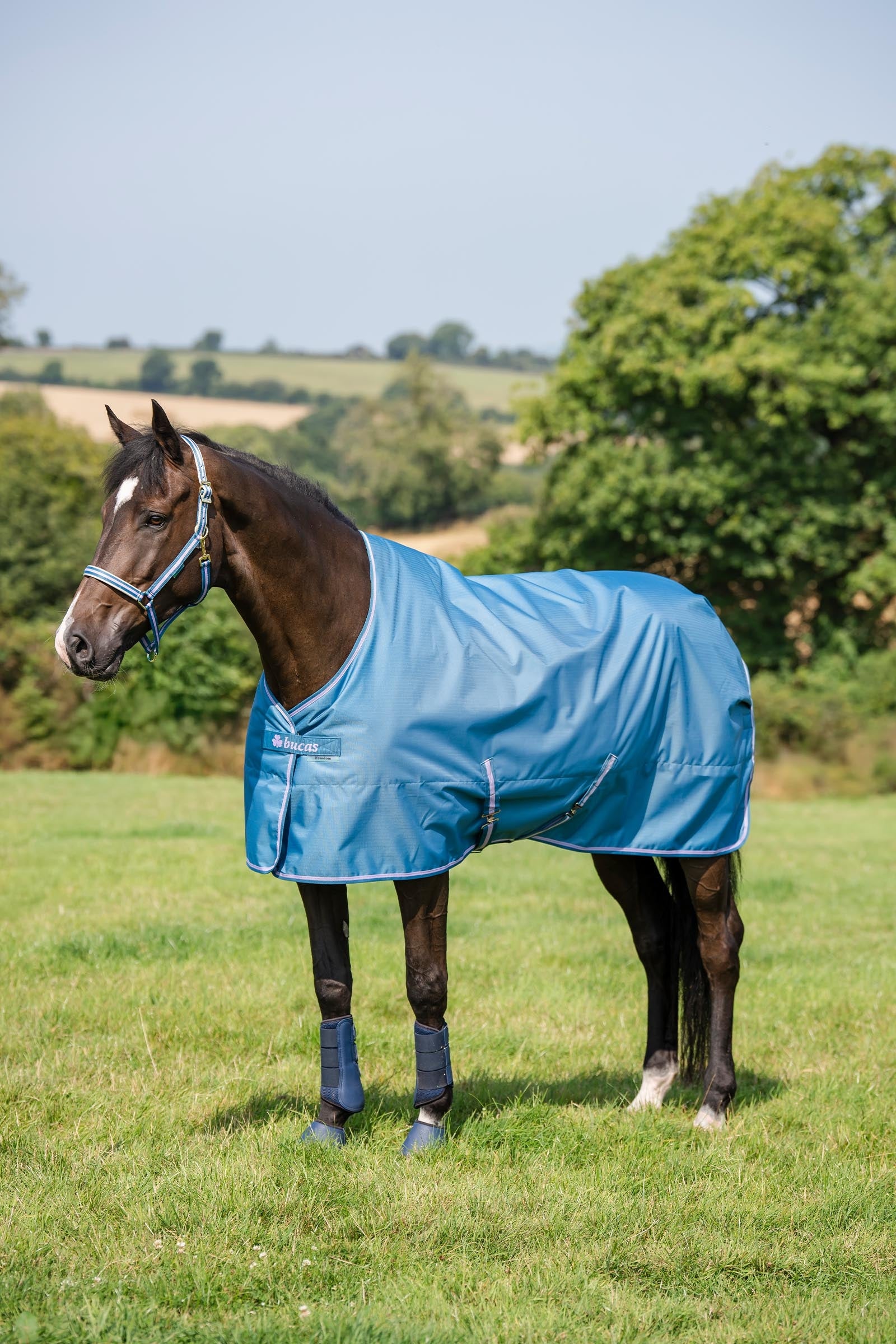 Bucas Freedom Light Pony Turnout Rug, 0g Horse Rugs