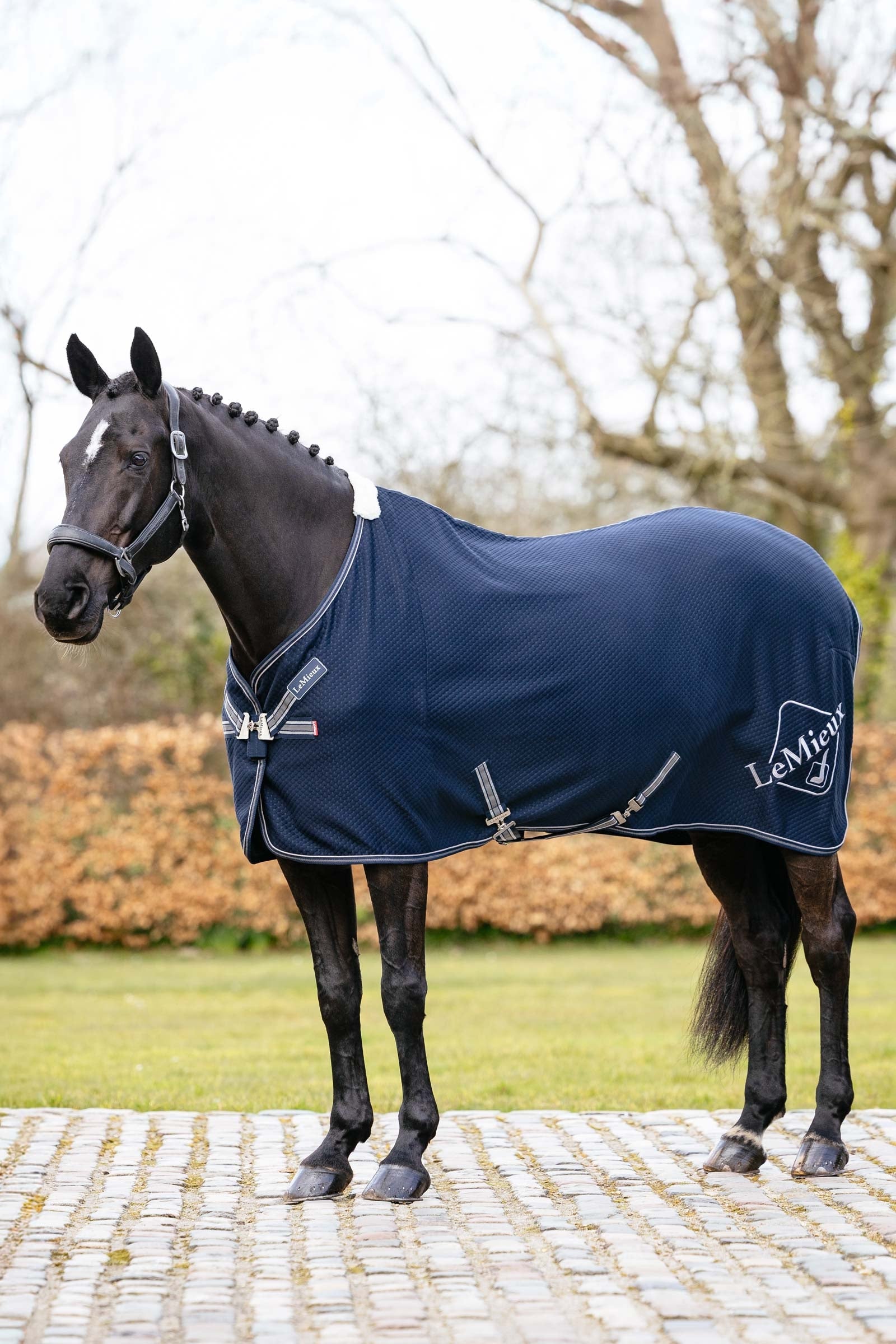 LeMieux Kudos Bambus Abschwitzdecke Pferdedecken