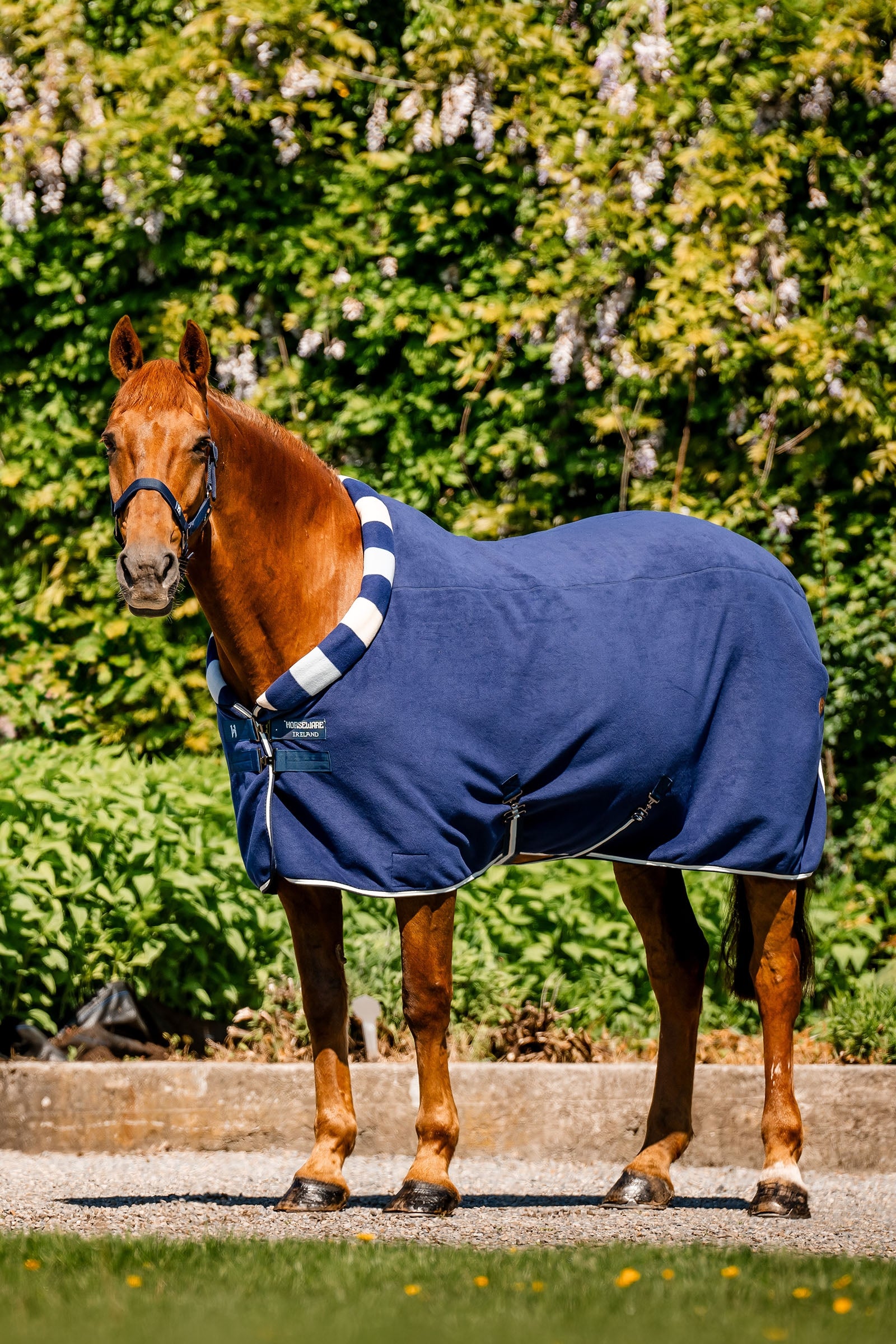 Horseware Newmarket Cosy Fleece Abschwitzdecke Pferdedecken