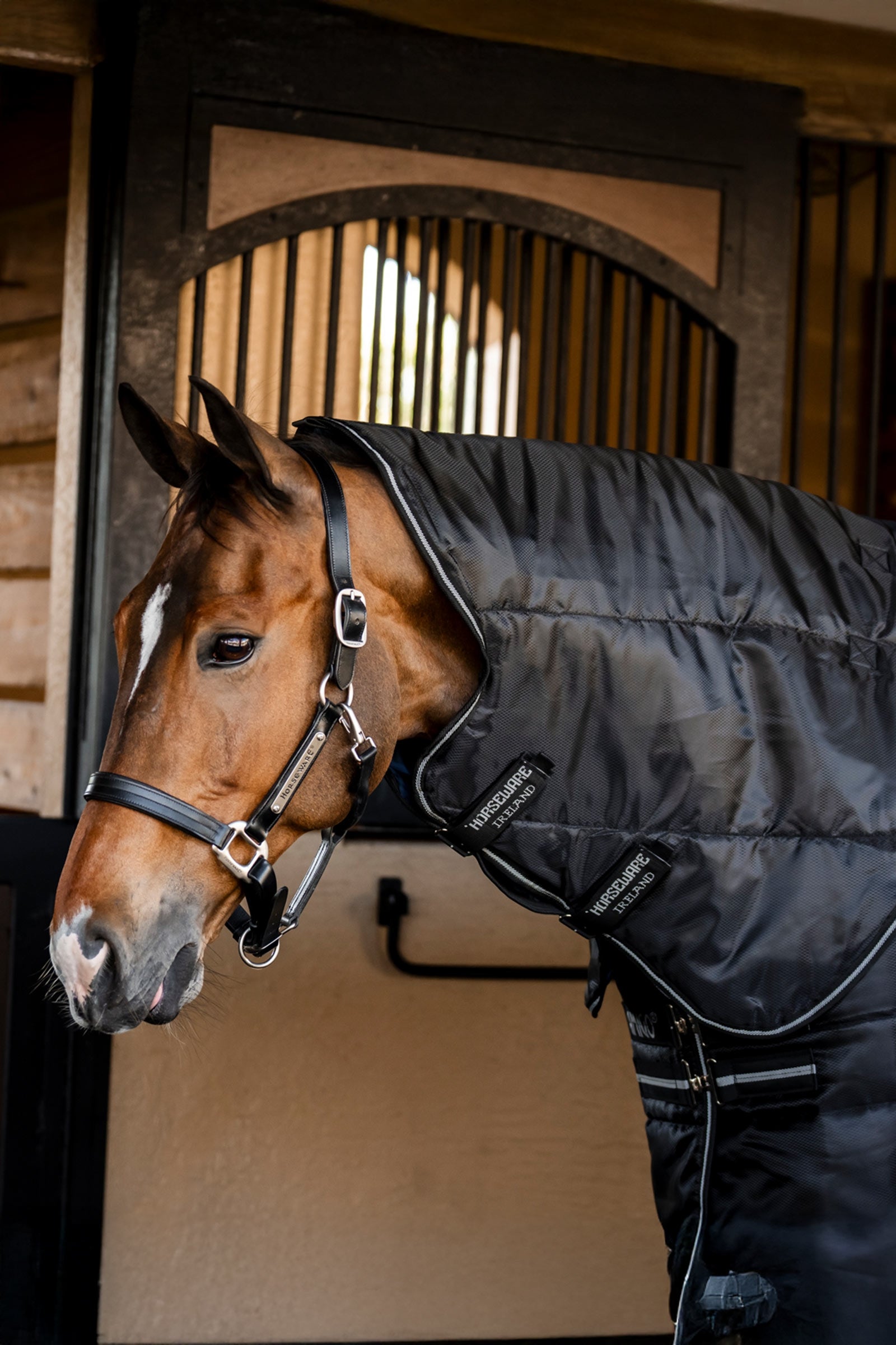 Horseware Amigo Ripstop Insulator Plus Stalldecke, 350 g Pferdedecken