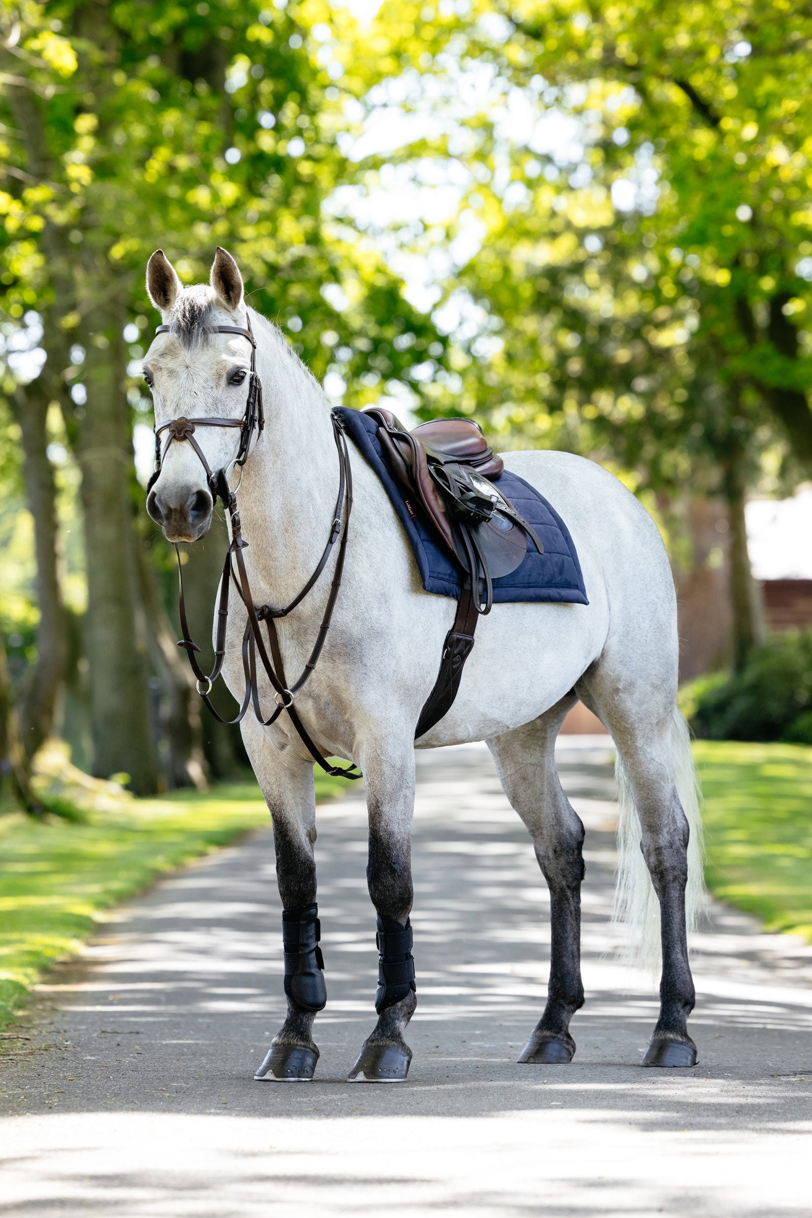 LeMieux Pillow Cushioned All Purpose Saddle Pad Saddle Pads