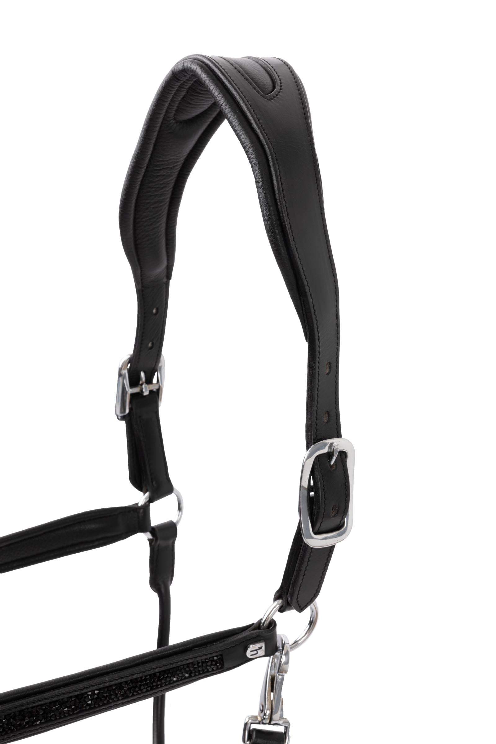 Horze Delémont Leather halter Halters & Leads